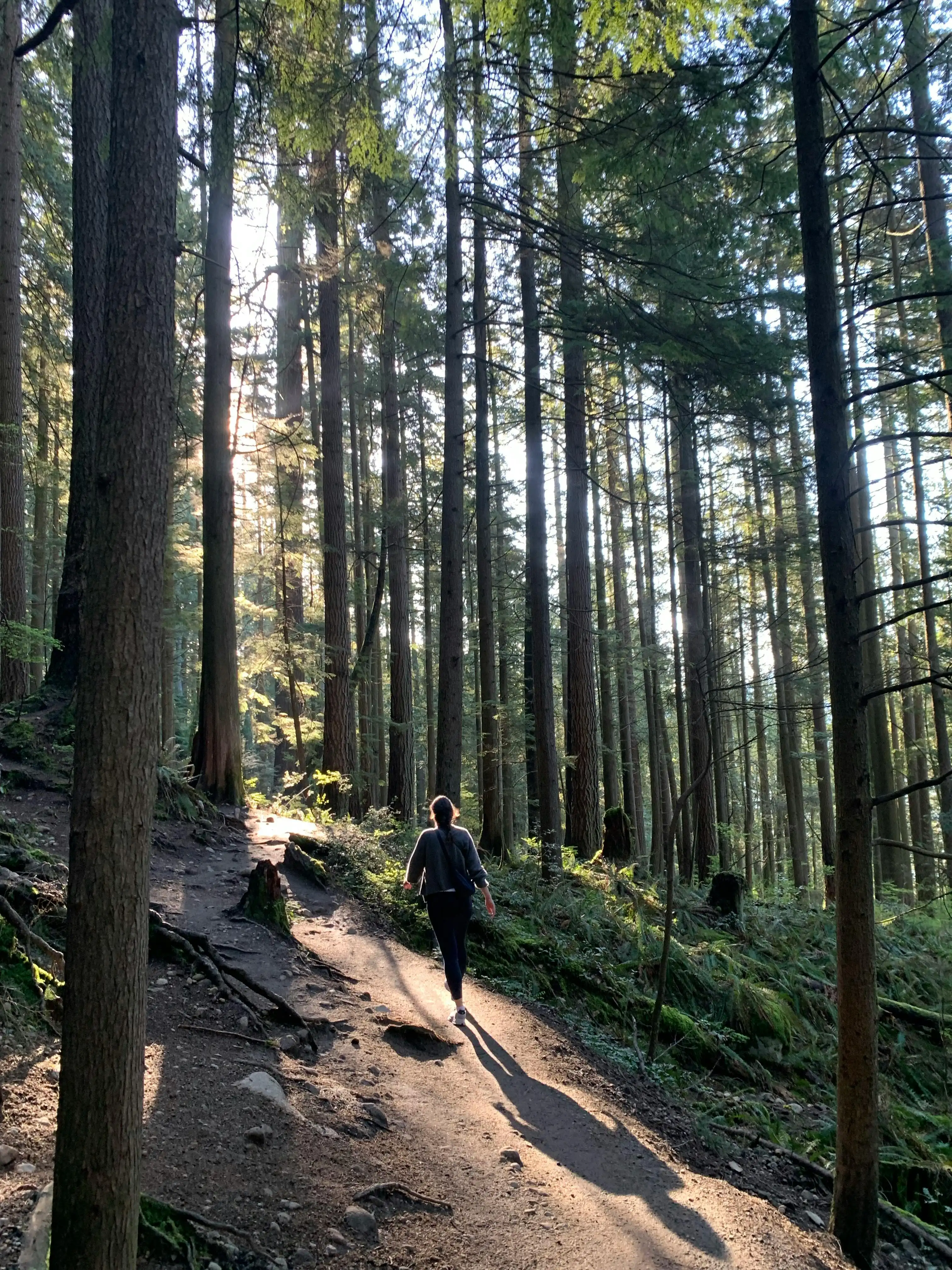 买森林碳权等于漂绿？ ！ 其实更严重的问题是这个